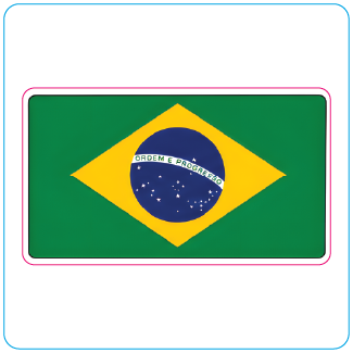 Brazilian Flag Sticker | Ordem e Progresso Vinyl Sticker - #1016