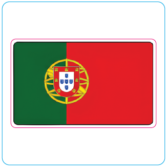 Portuguese Flag Sticker | Bandeira de Portugal Vinyl Sticker - #1023