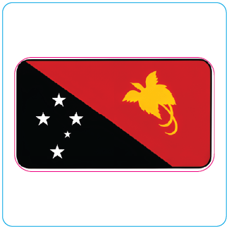 Papua New Guinea Flag - #1062