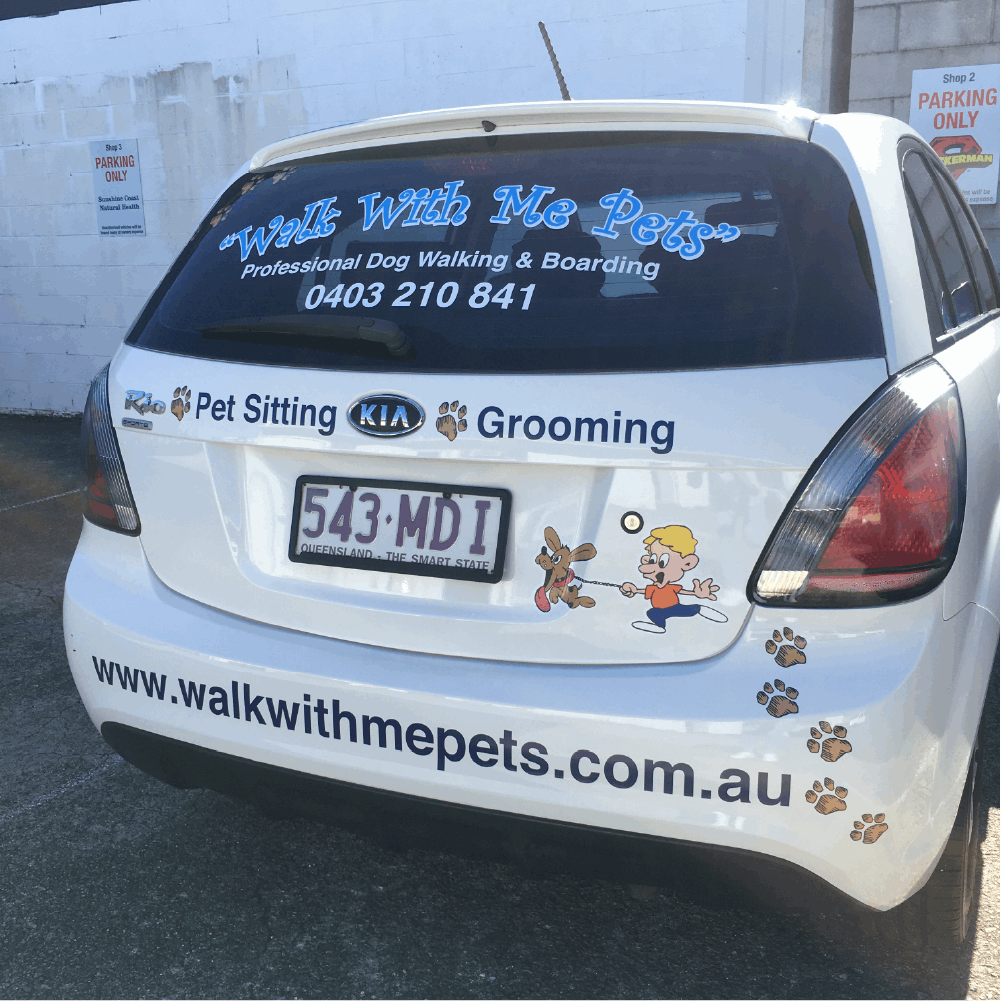 Vehicle Rear Window Stickers - Full Colour